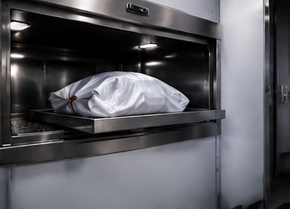 Dead Body Freezer Ambulance